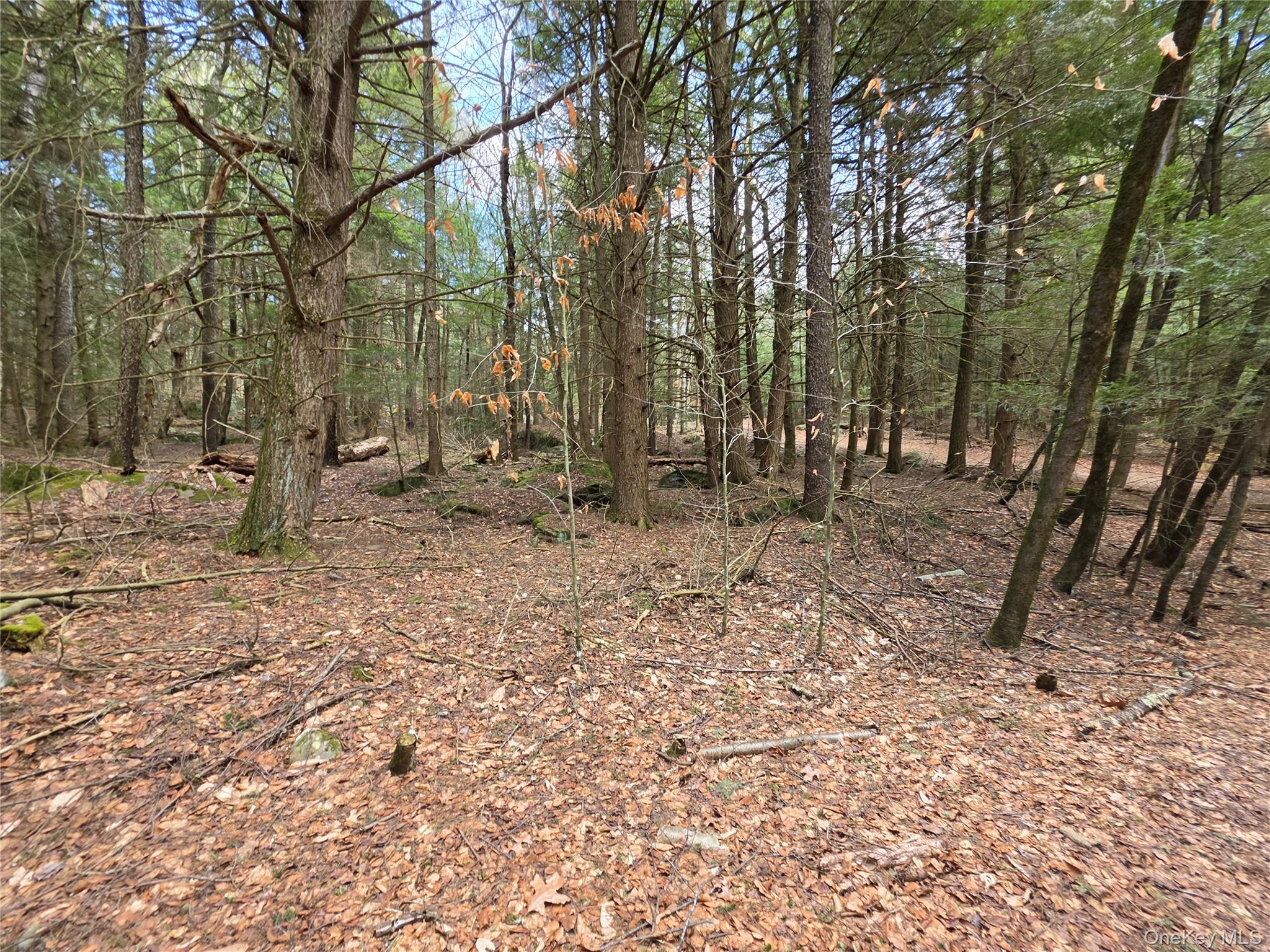 TBD Bobwhite Trail – For Sale photo 10