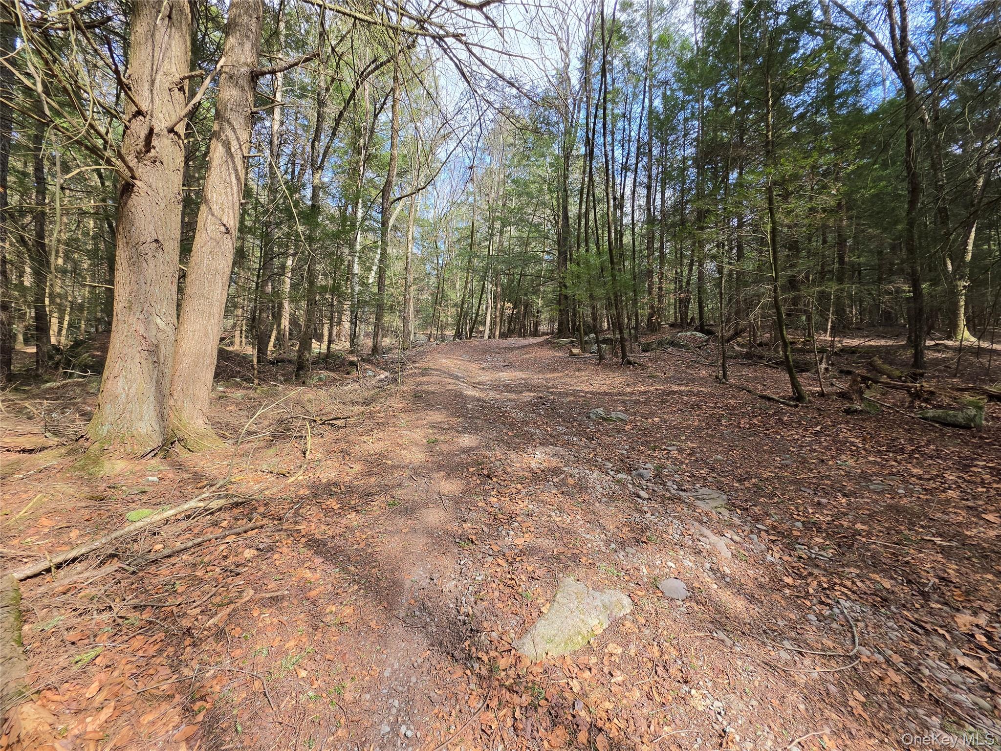 TBD Bobwhite Trail – For Sale photo 18