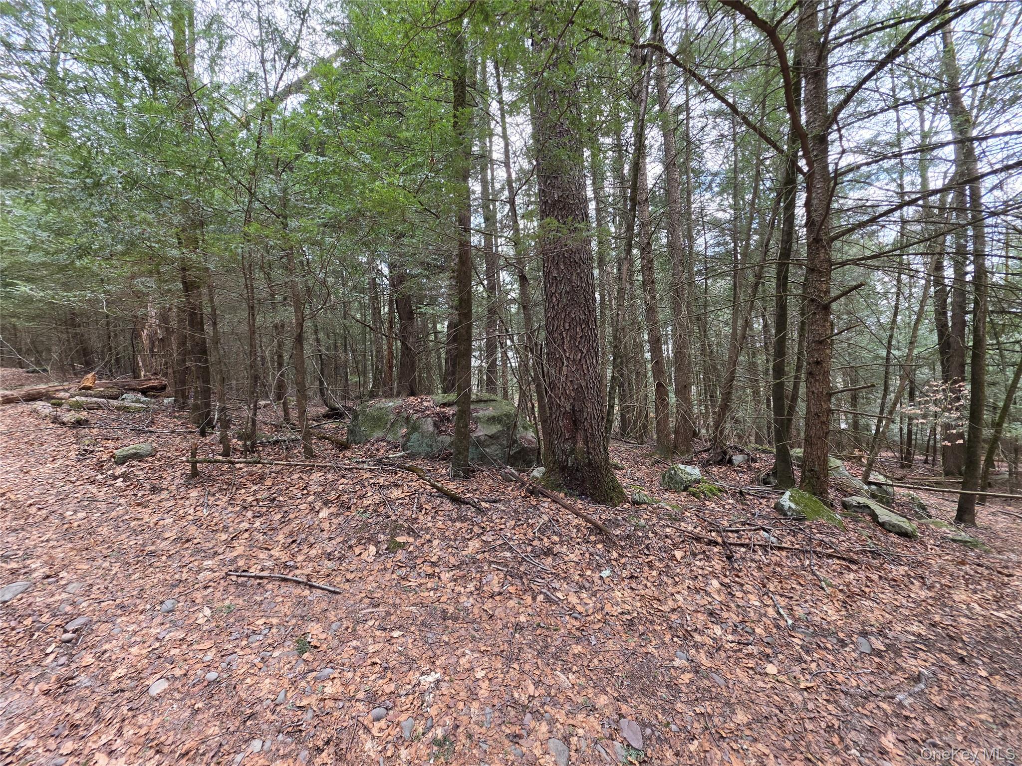 TBD Bobwhite Trail – For Sale photo 25