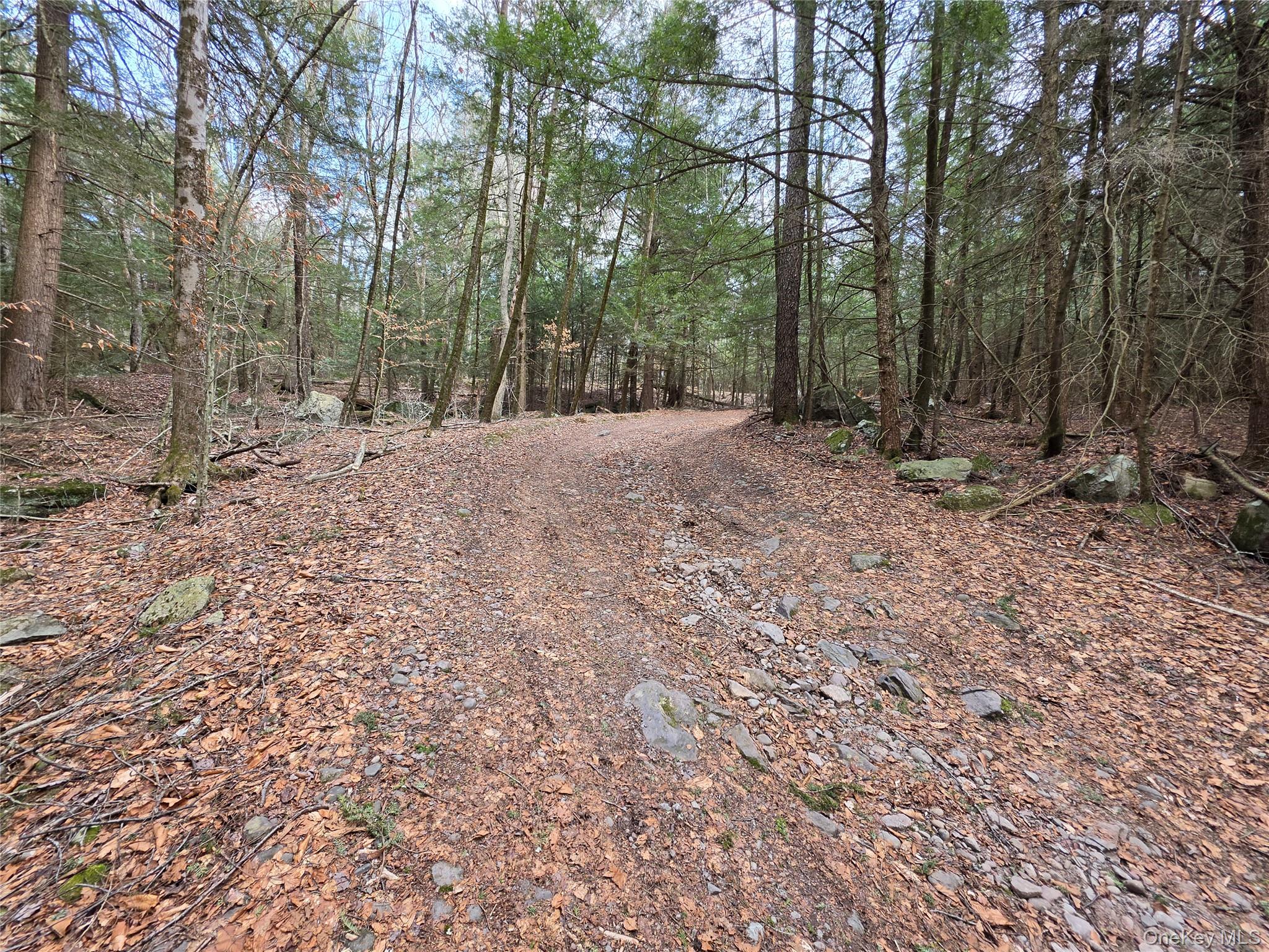 TBD Bobwhite Trail – For Sale photo 21
