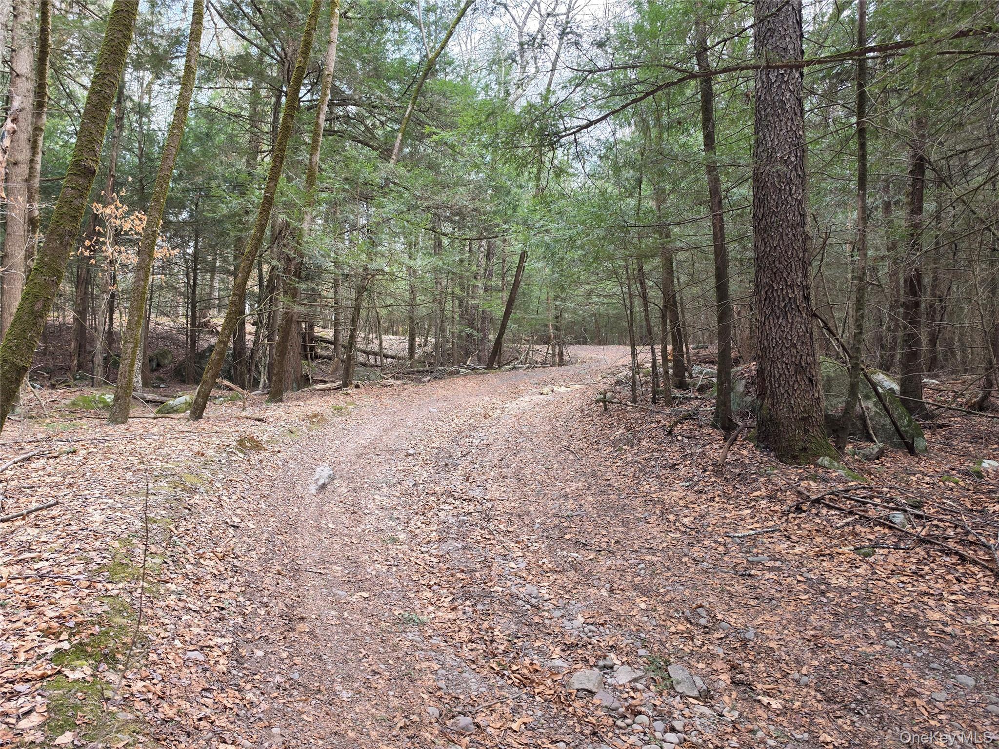TBD Bobwhite Trail – For Sale photo 29