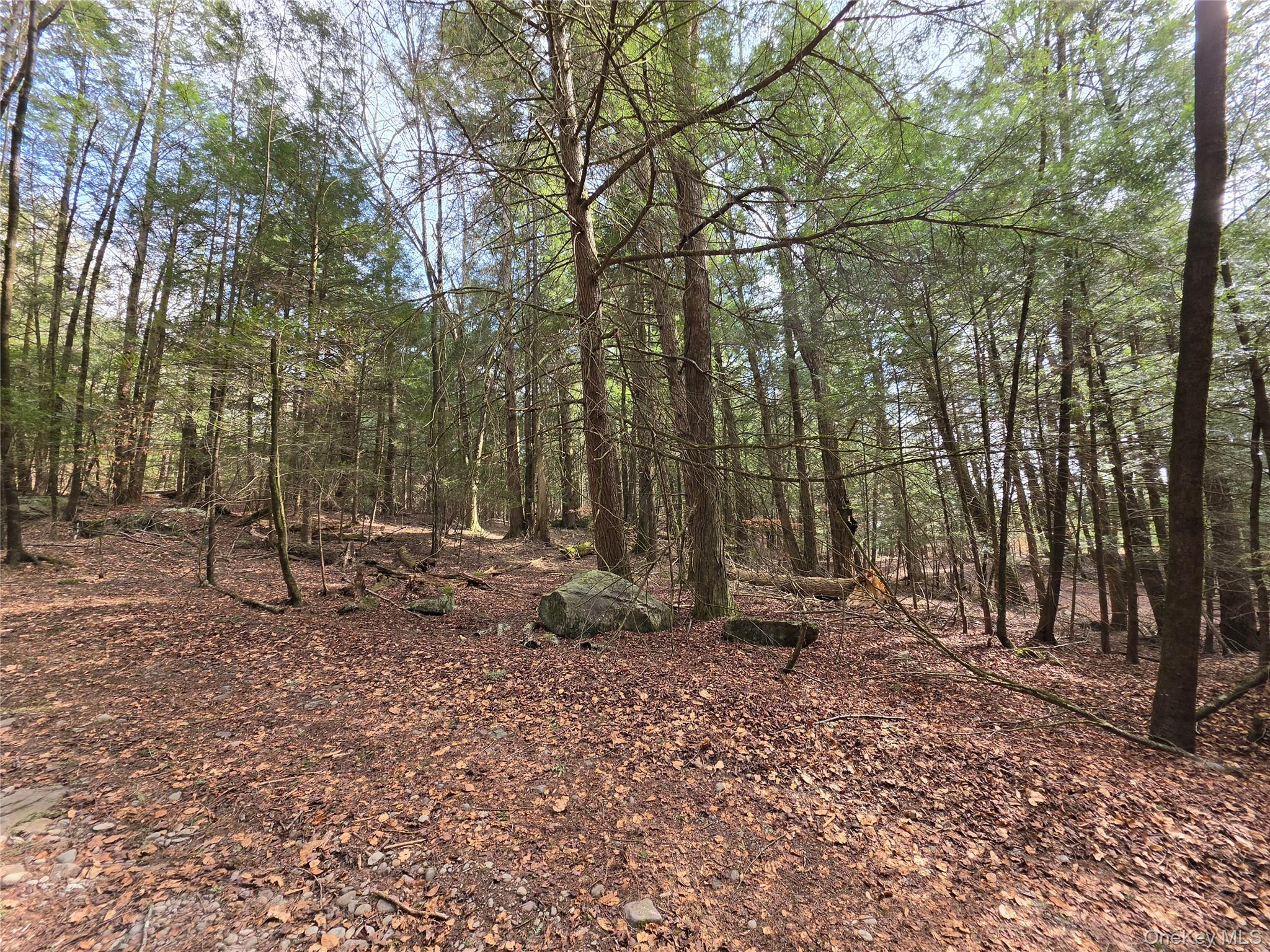 TBD Bobwhite Trail – For Sale photo 17
