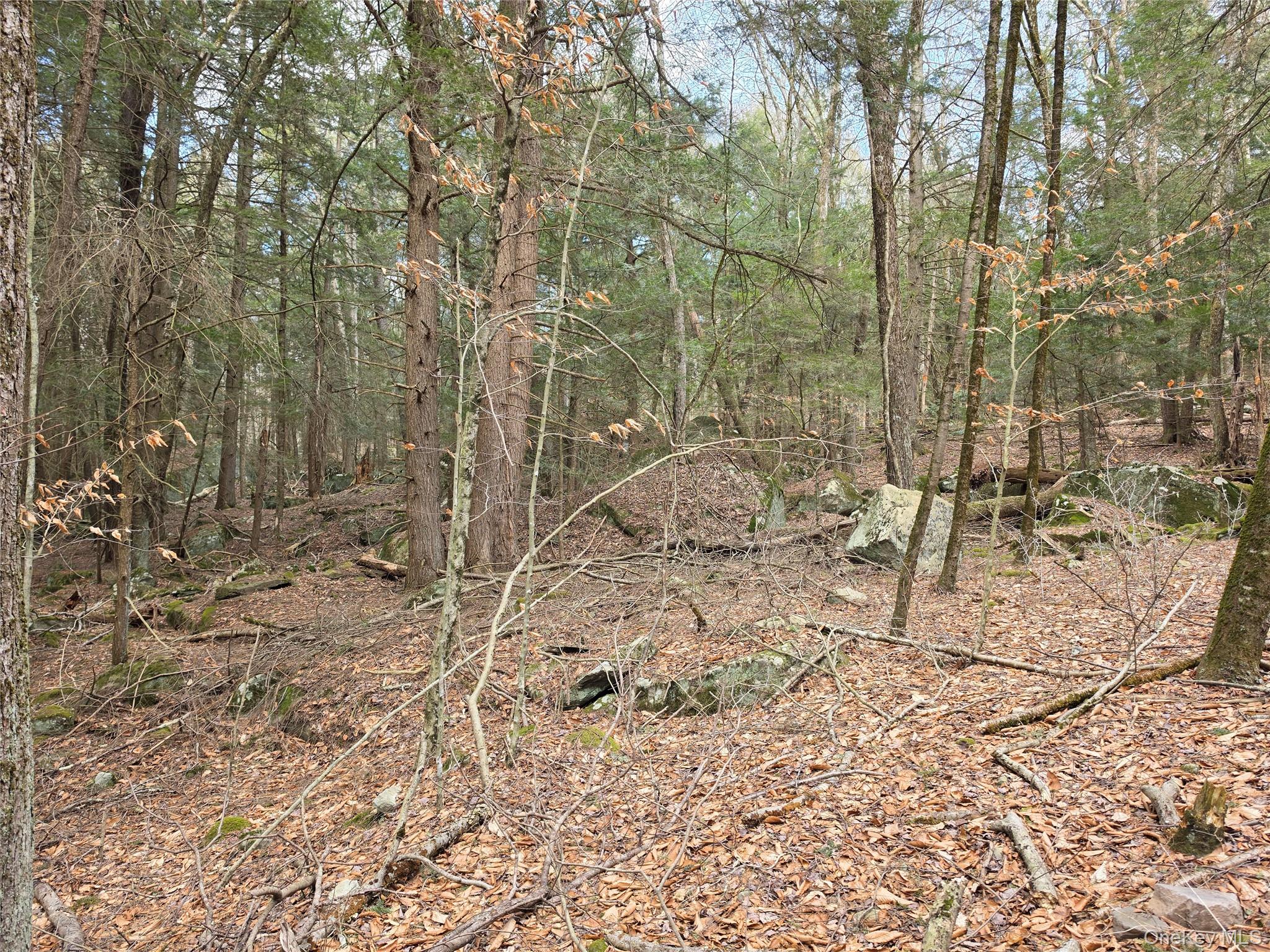 TBD Bobwhite Trail – For Sale photo 23