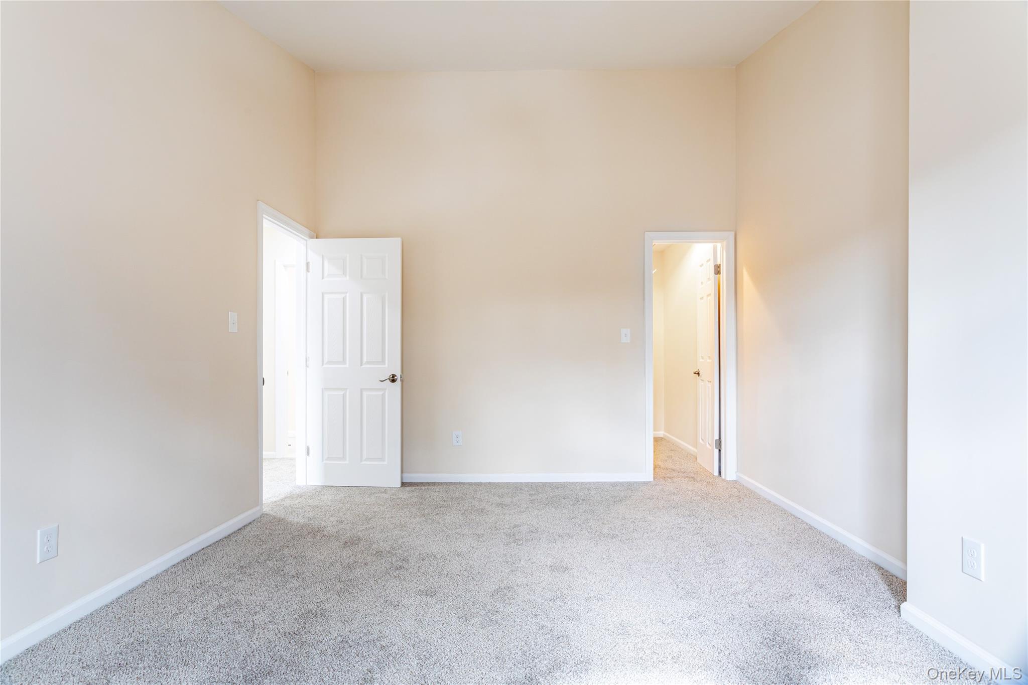 1260 Richmond Avenue, Unit 114 photo 19