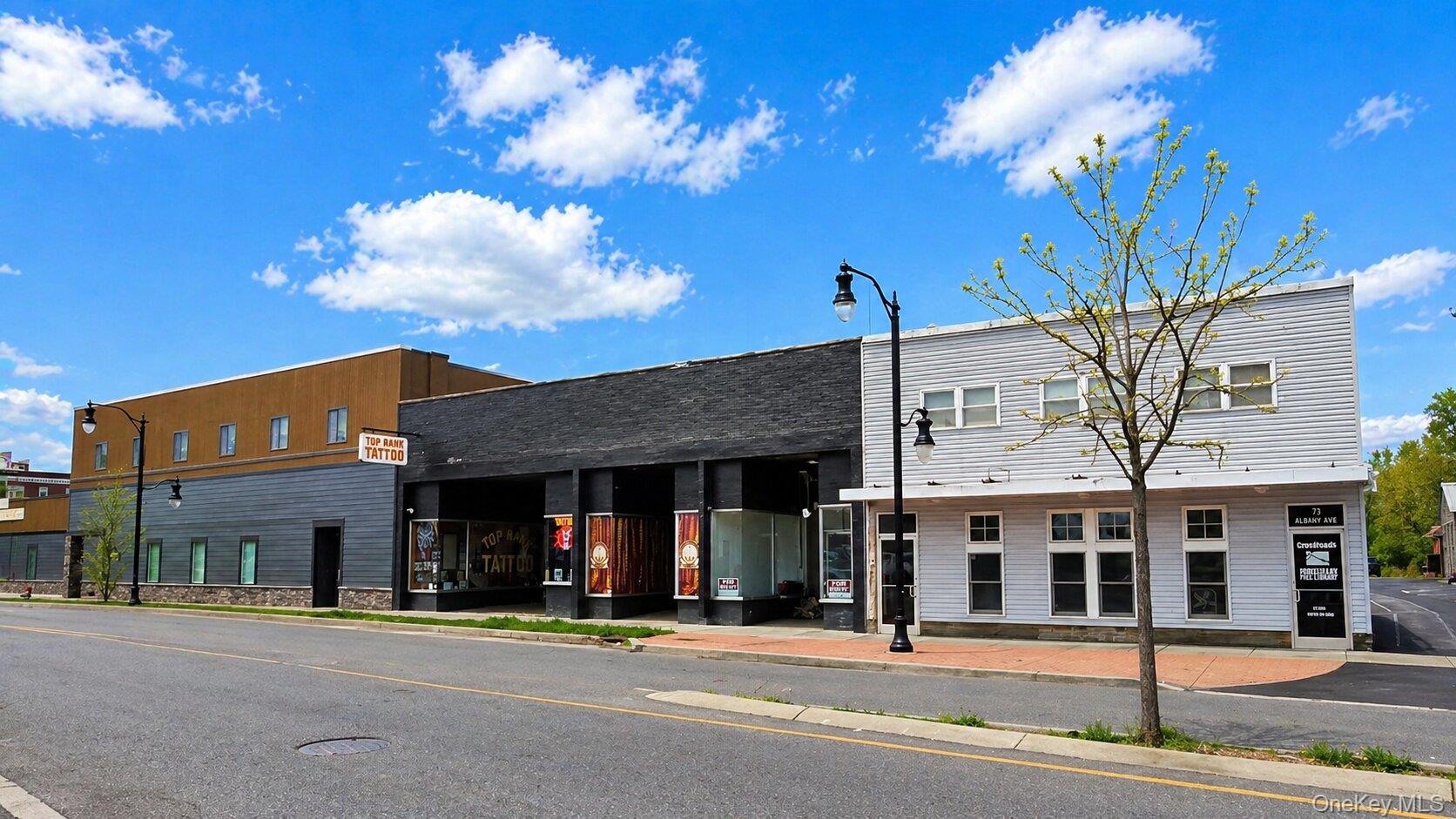 71 Albany Avenue – For Sale photo 3