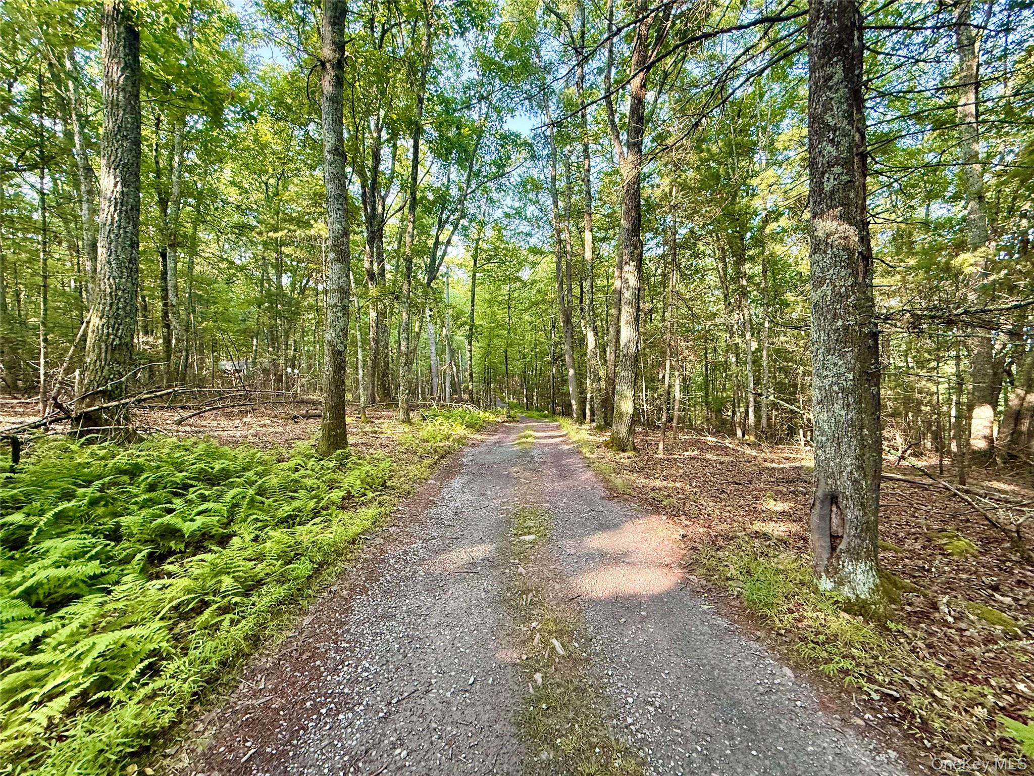 Marko Drive – For Sale photo 2