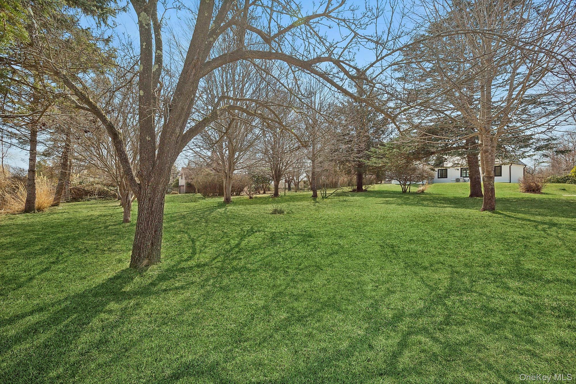 205 Fairview Avenue – For Sale photo 37