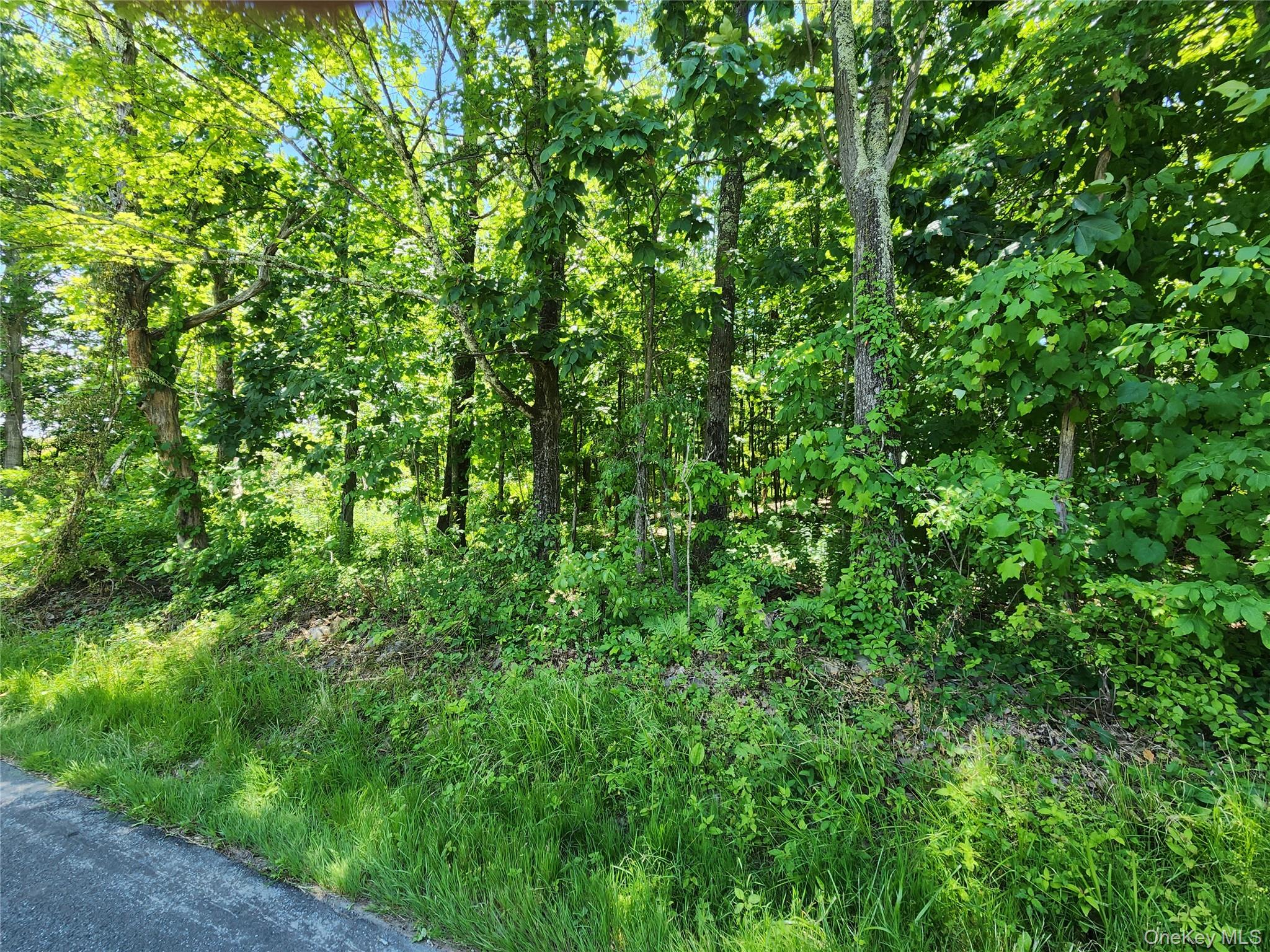 Irish Cape Road – For Sale
