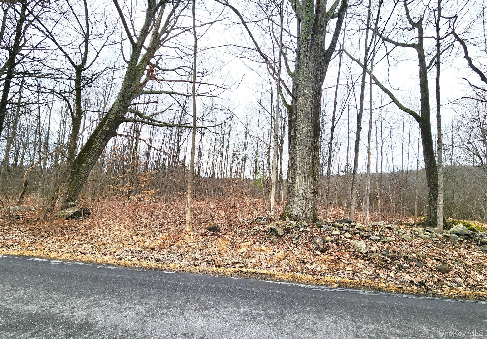 Irish Cape Road – For Sale photo 10