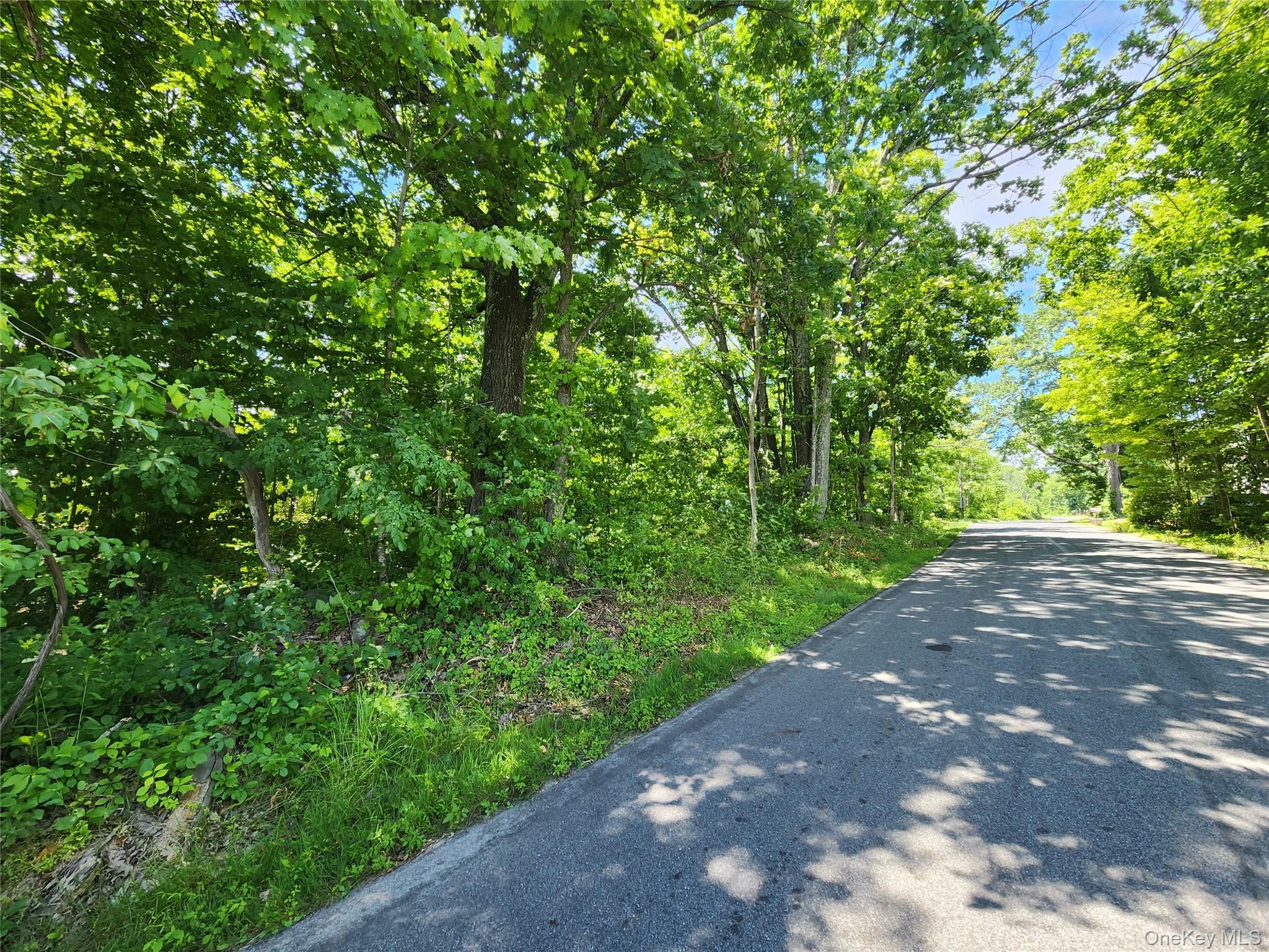 Irish Cape Road – For Sale photo 6
