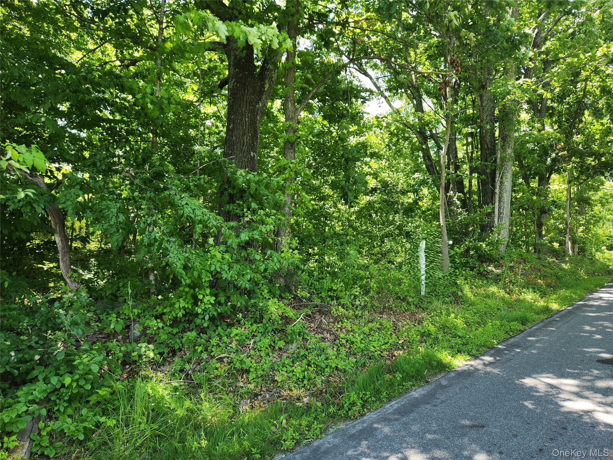 Irish Cape Road – For Sale photo 4