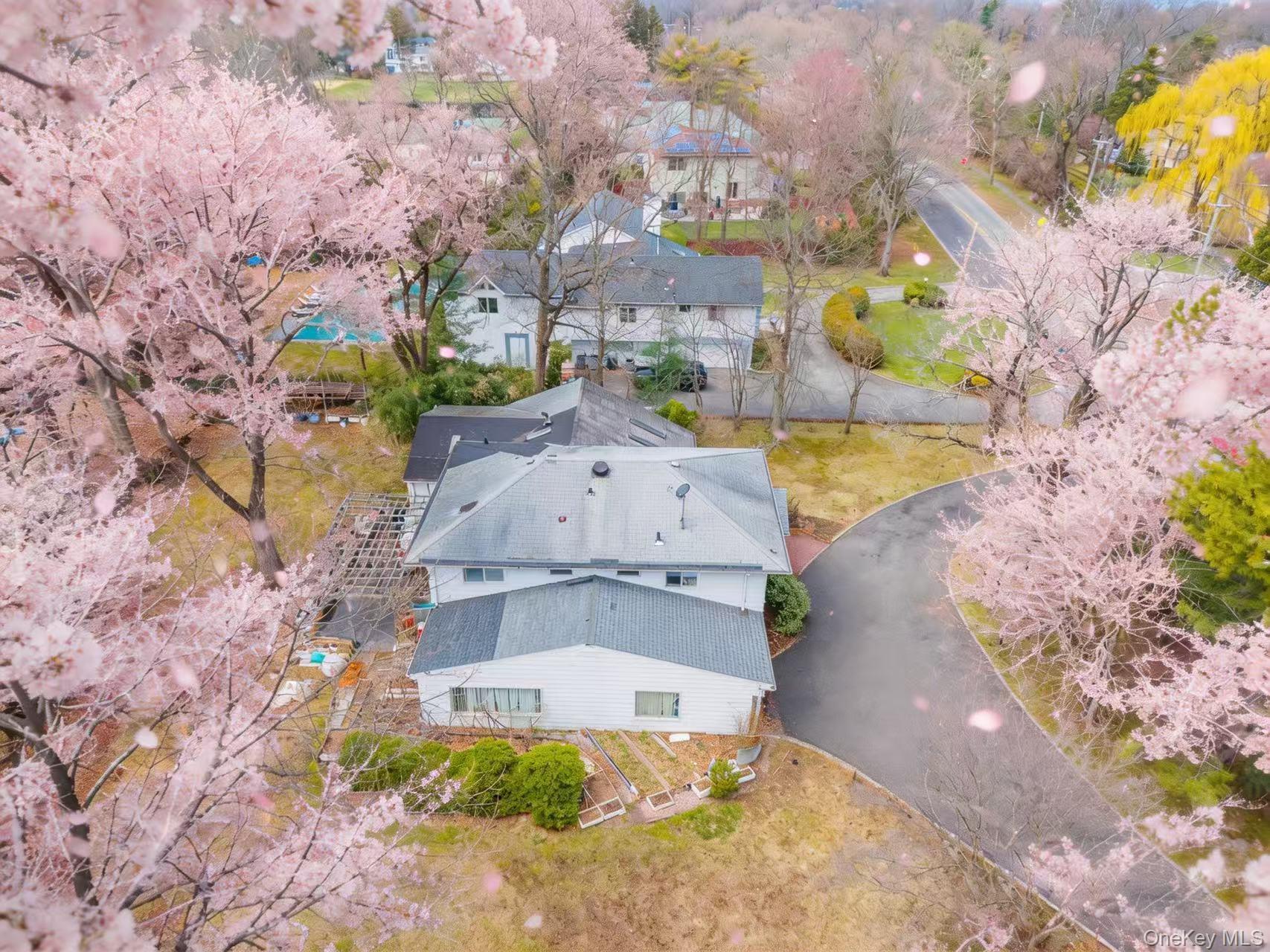 71 Horace Harding Boulevard – For Sale photo 6