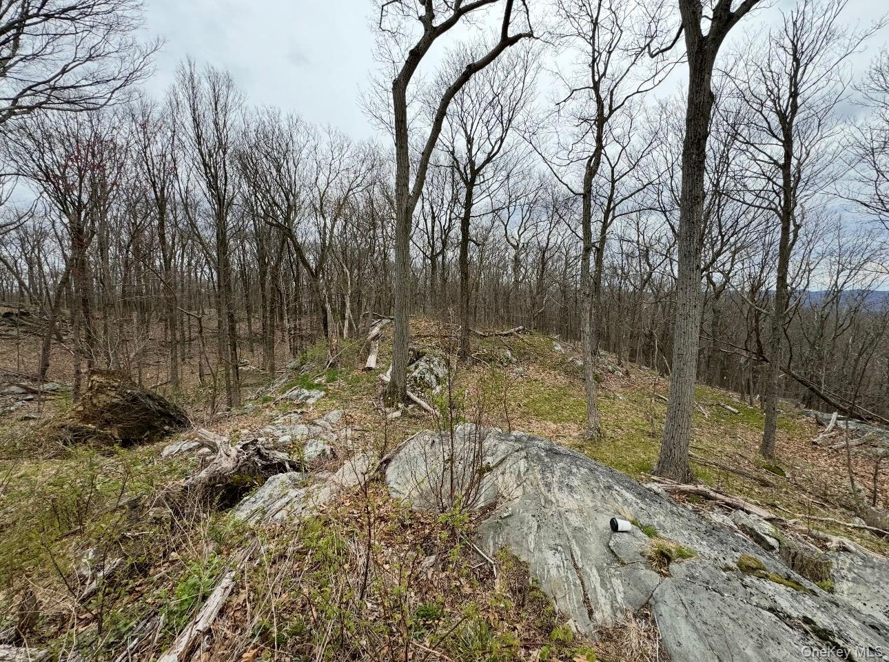 Woodmont Road – For Sale photo 2
