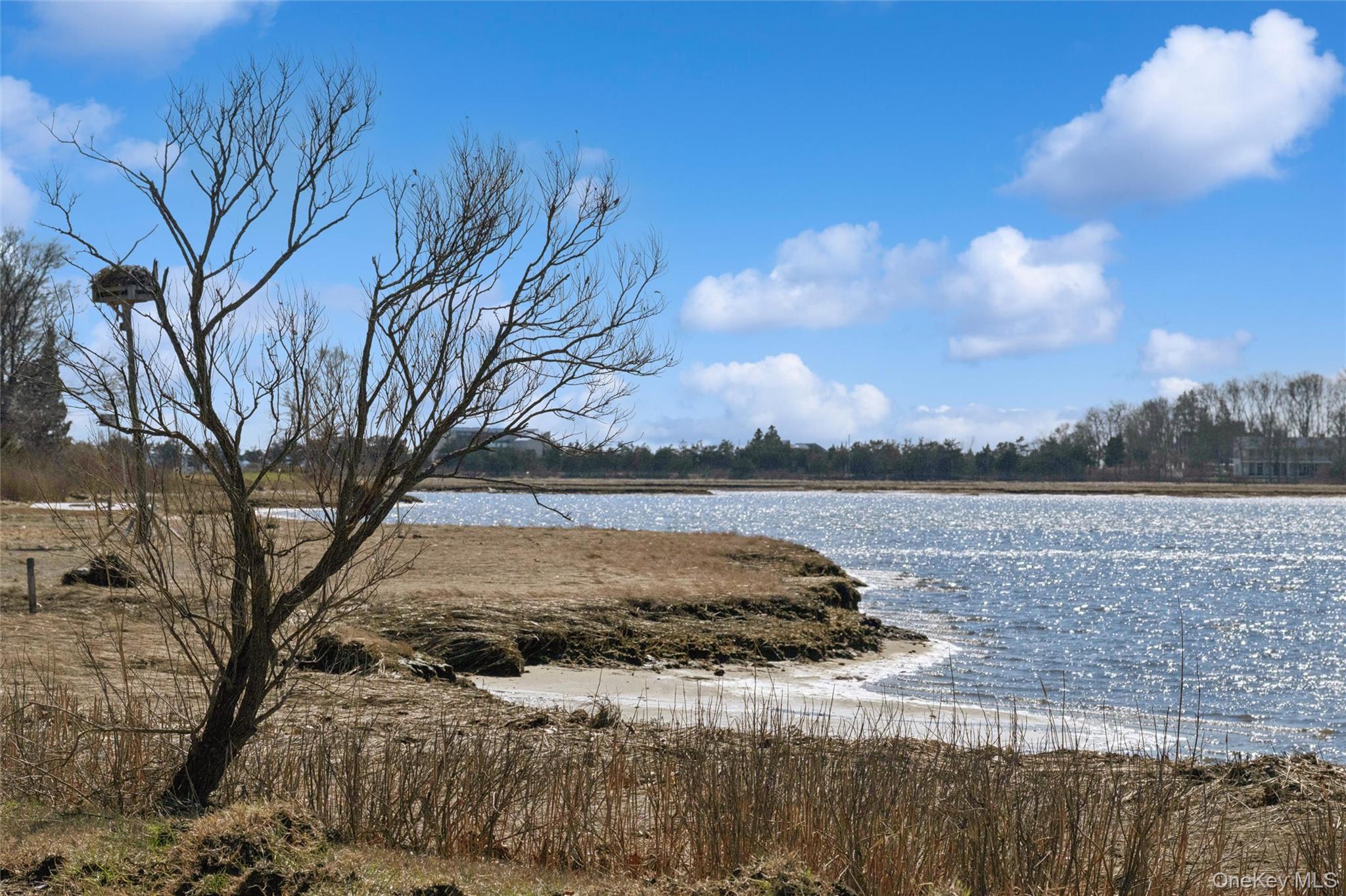 250 Oak Road – For Rent photo 20