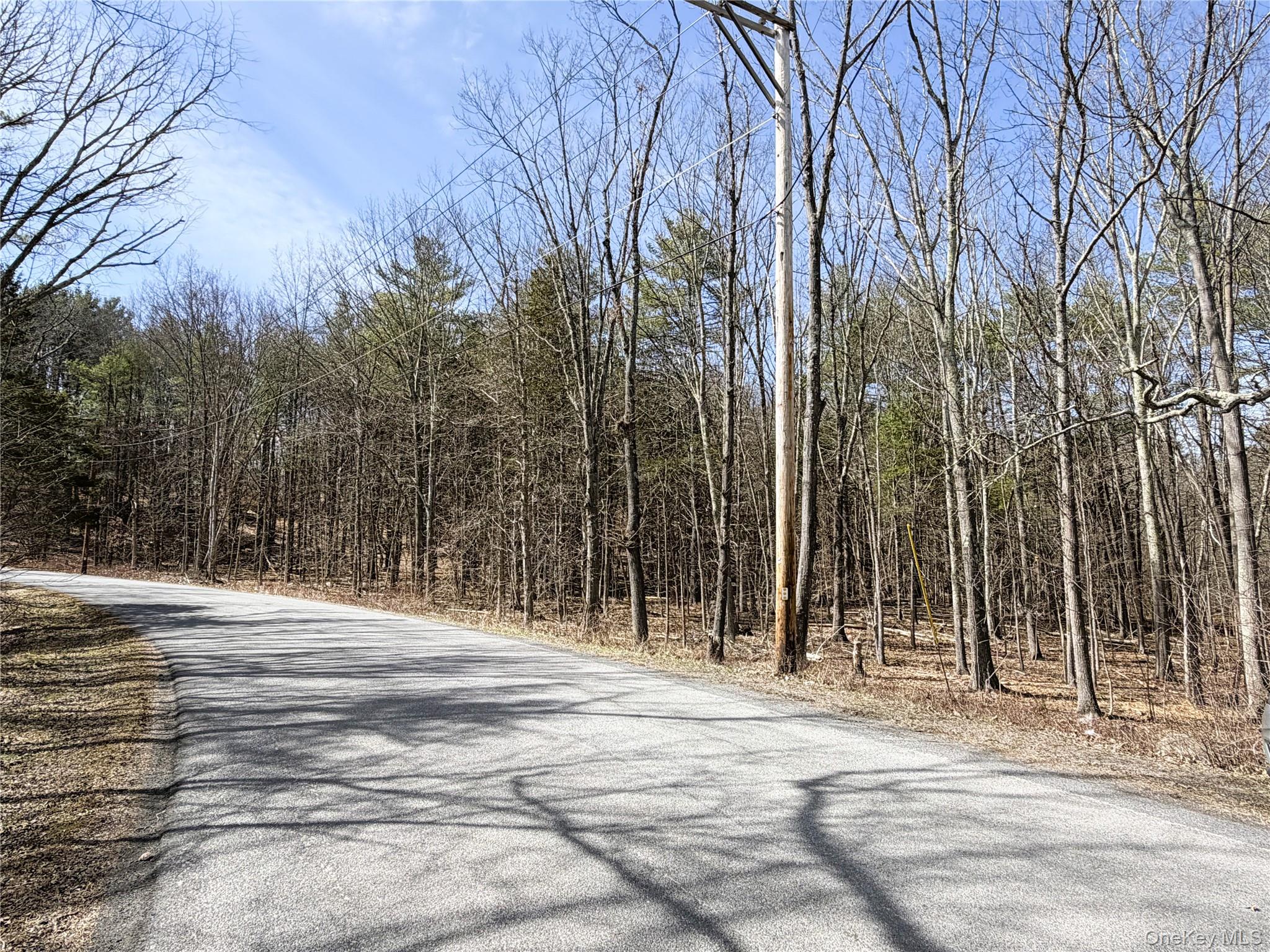 TBD Frank Hitchcock Road – For Sale photo 8
