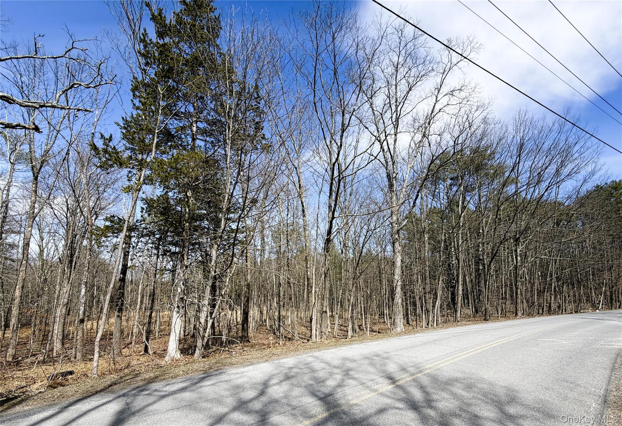 TBD Frank Hitchcock Road – For Sale photo 9