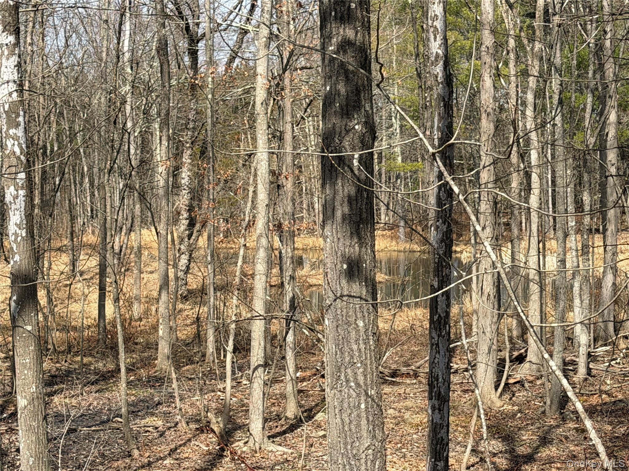 TBD Frank Hitchcock Road – For Sale photo 4