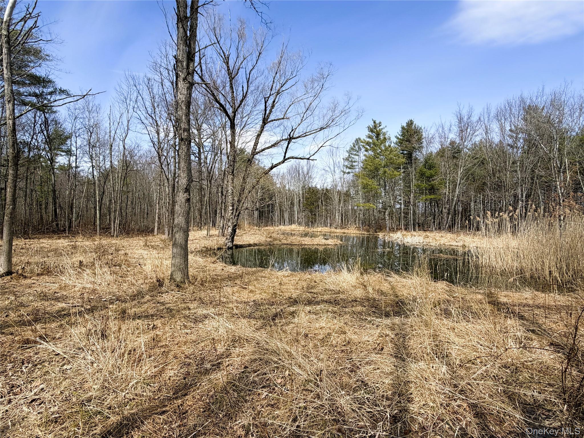 TBD Frank Hitchcock Road – For Sale photo 2
