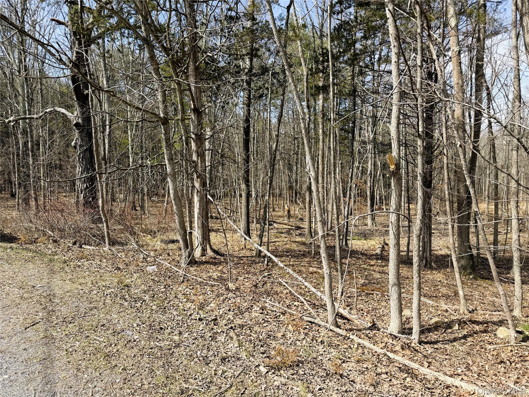 TBD Frank Hitchcock Road – For Sale photo 6