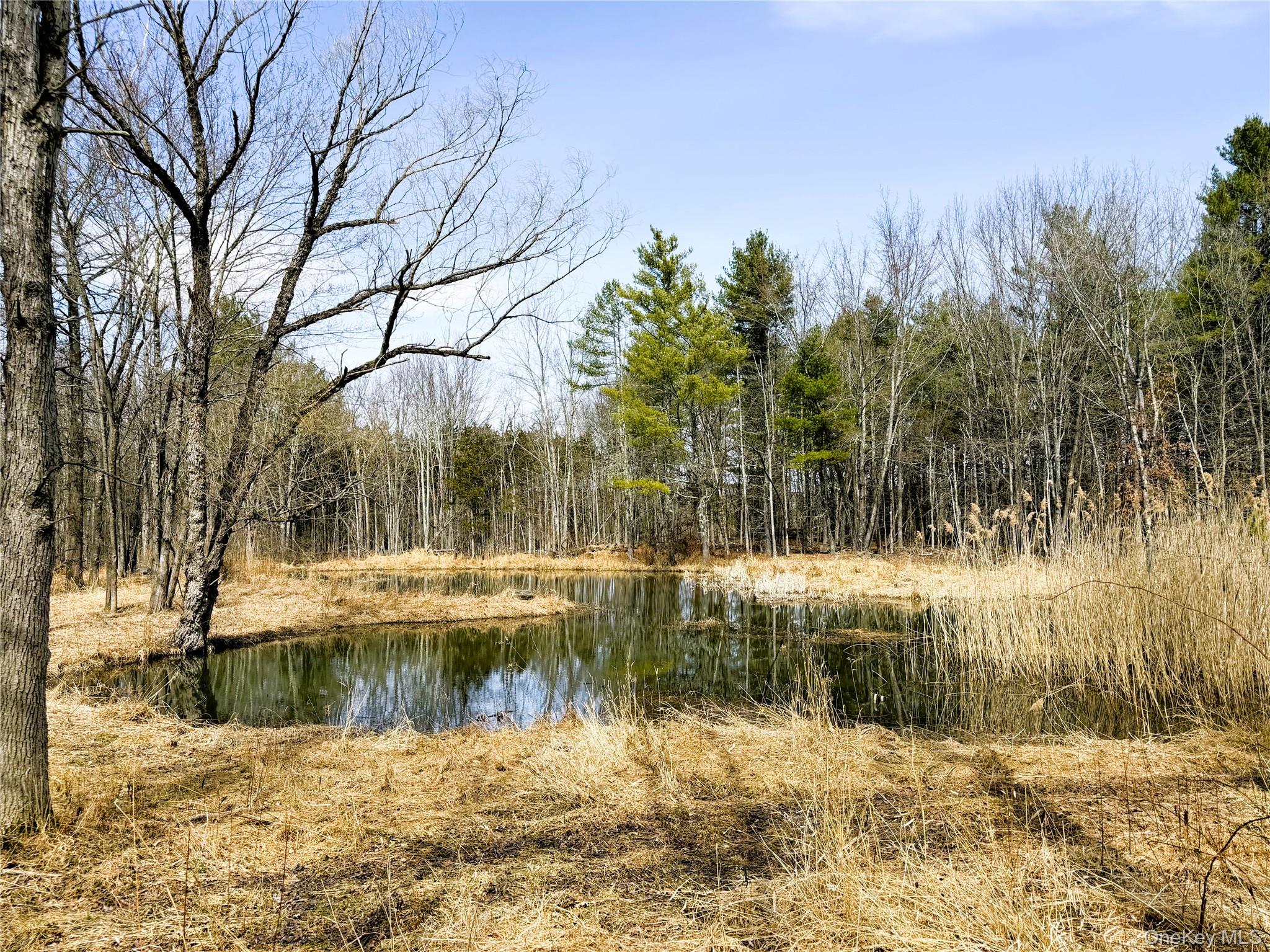 TBD Frank Hitchcock Road – For Sale