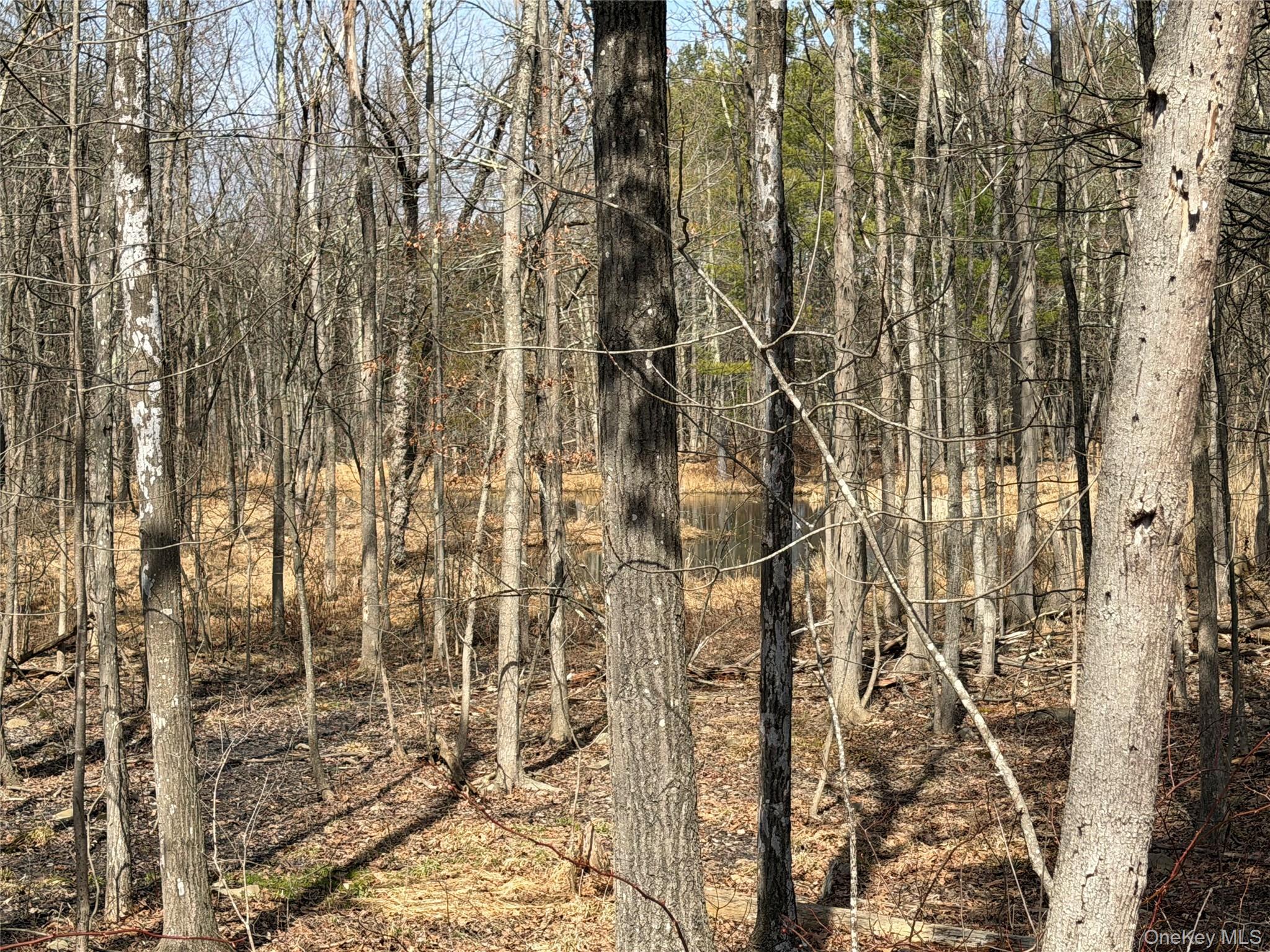 TBD Frank Hitchcock Road – For Sale photo 5