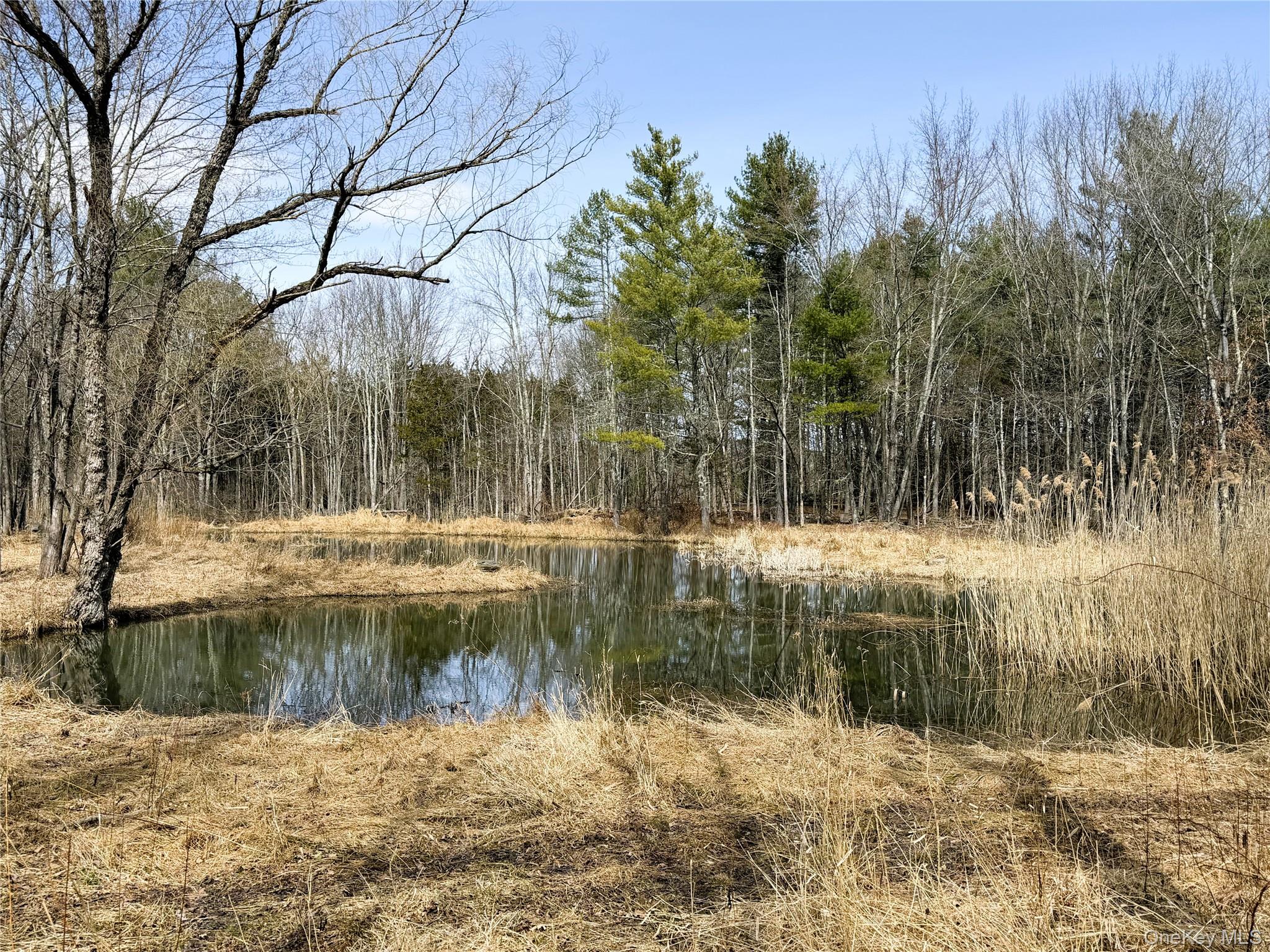 TBD Frank Hitchcock Road – For Sale photo 7