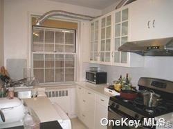 102-40 67th Drive Dr, Unit 1C photo 3