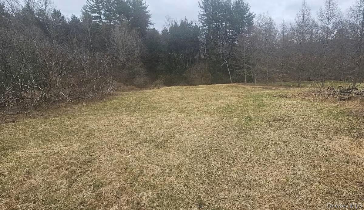 948 State Route 41 – For Sale photo 11