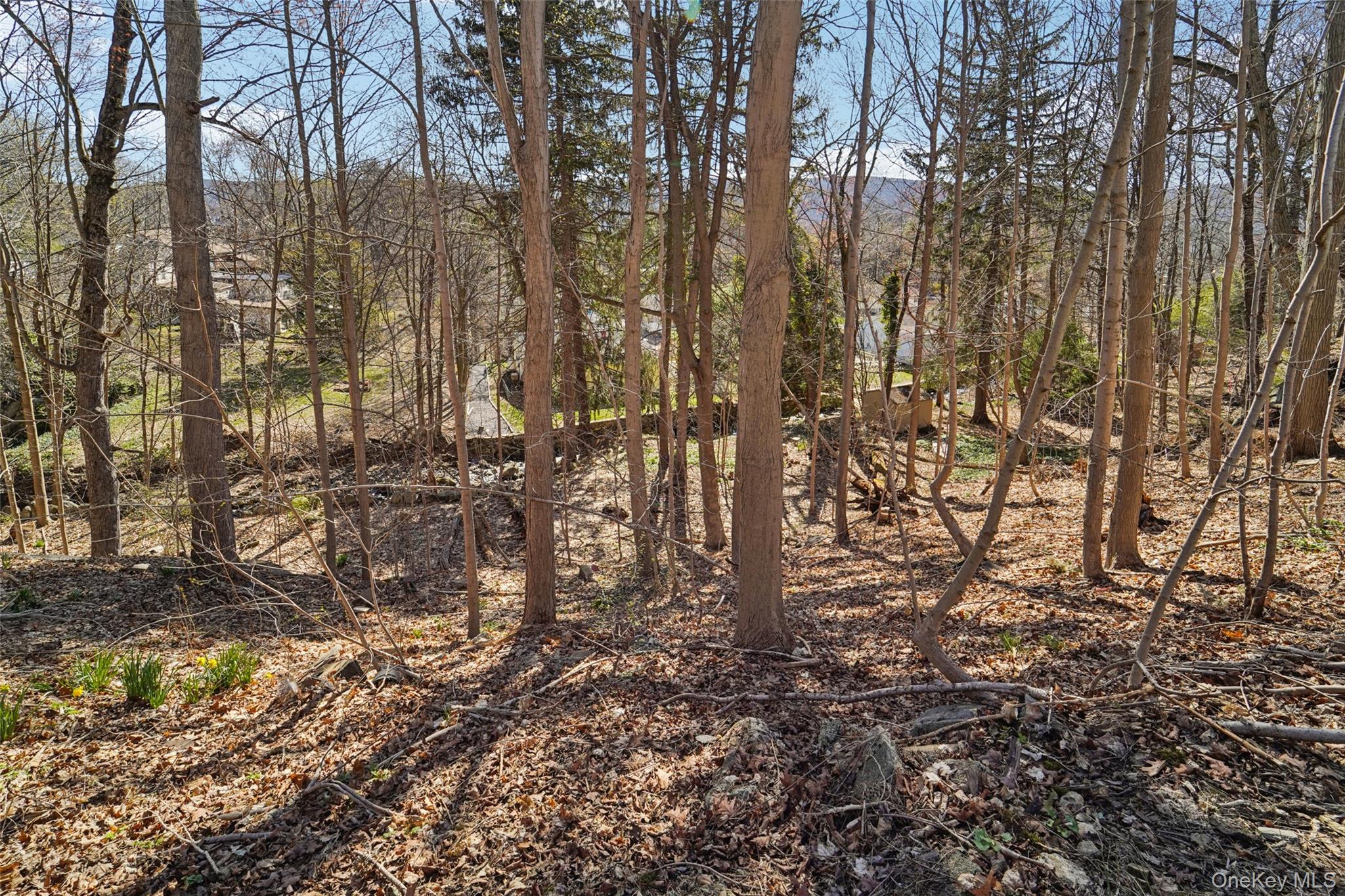 154 Old State Road – For Sale photo 38
