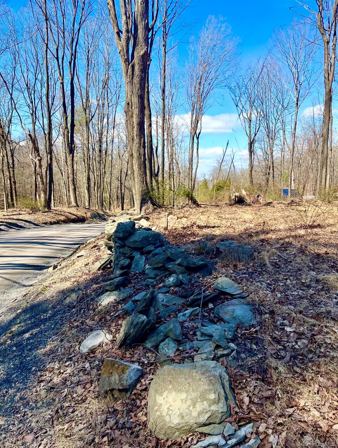 418 Browns Pond Road – For Sale photo 2