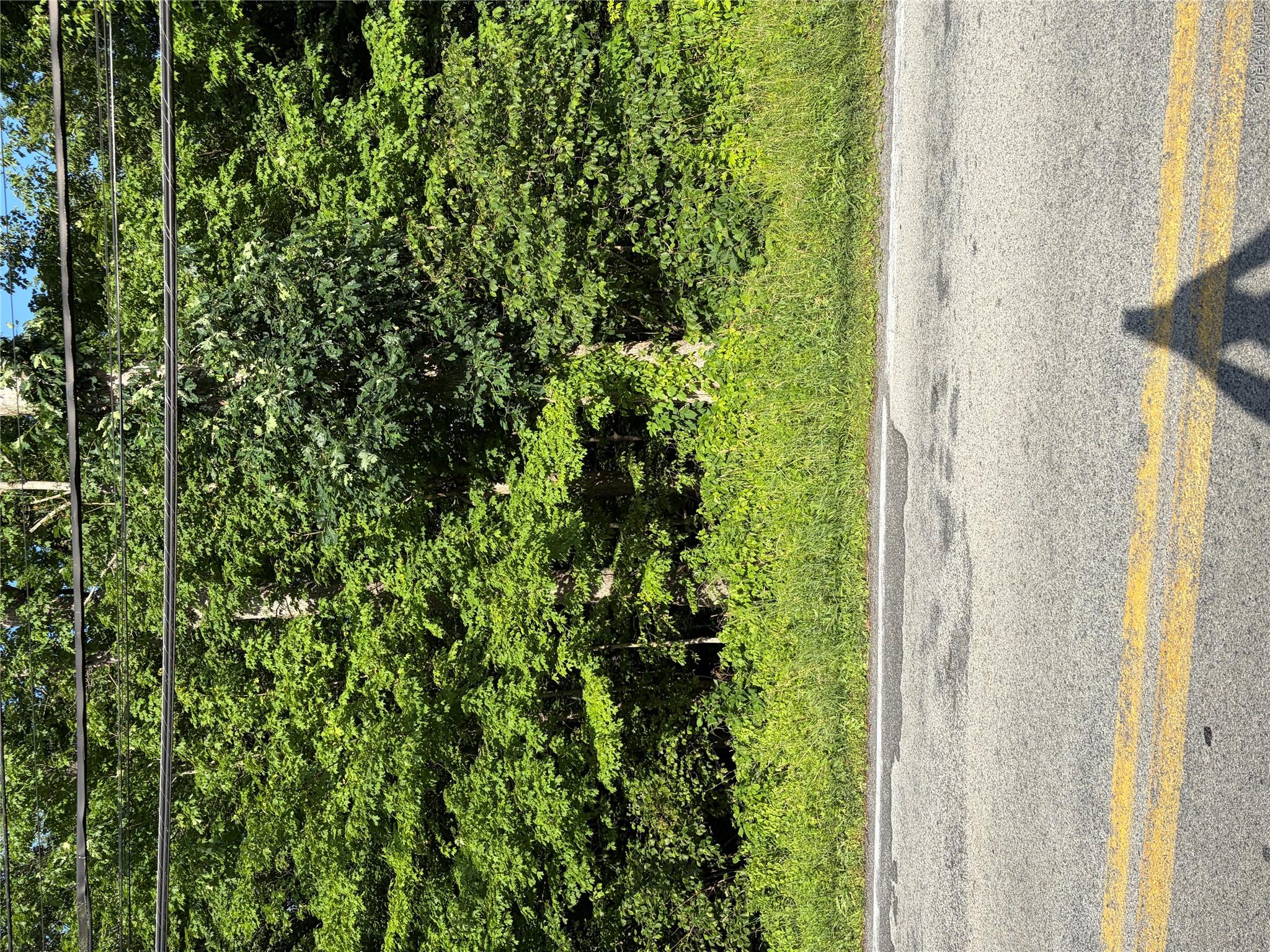 Wells Road – For Sale photo 3