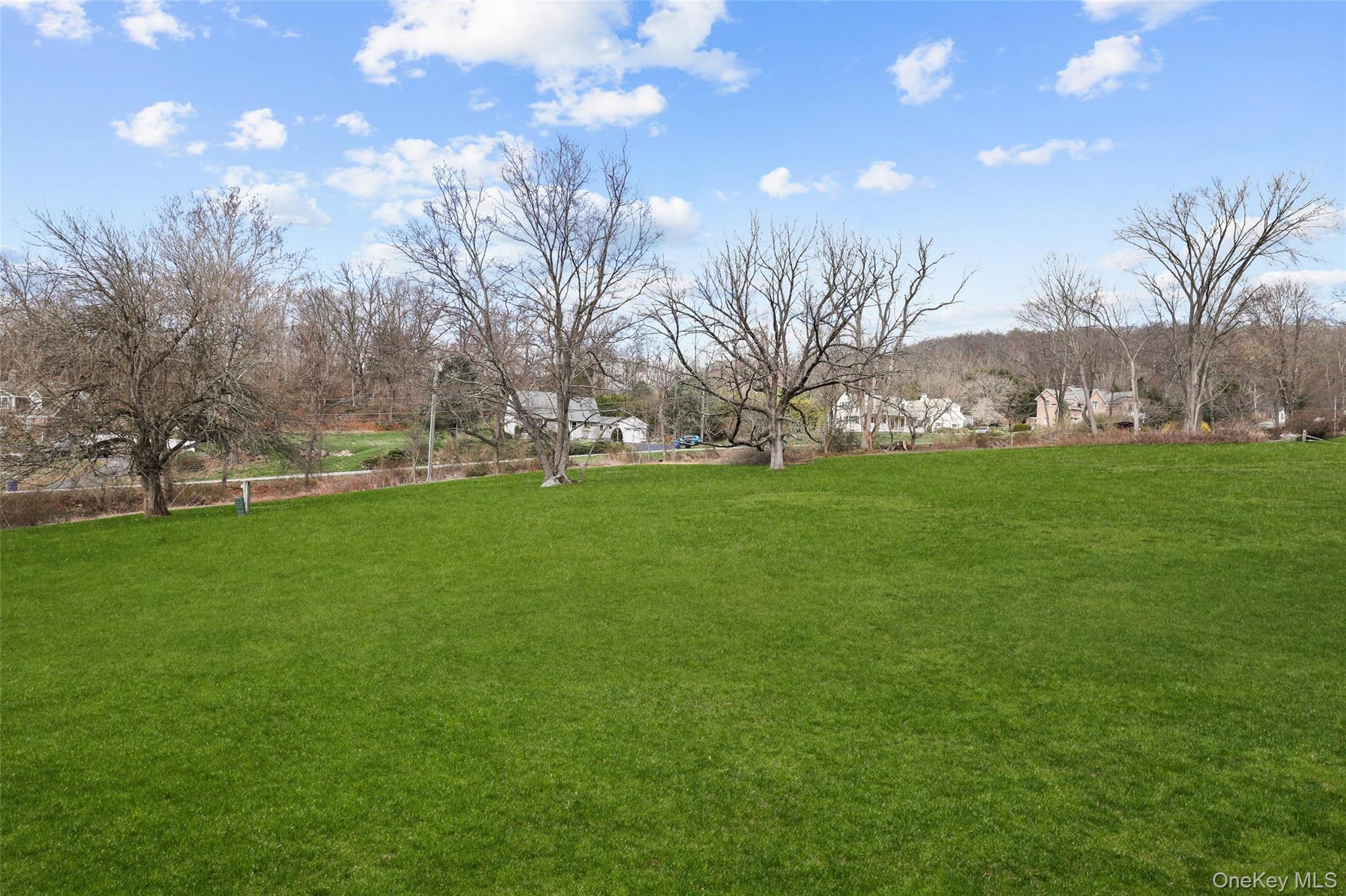 Lots 2-3 Sun Valley Dr. – For Sale photo 3
