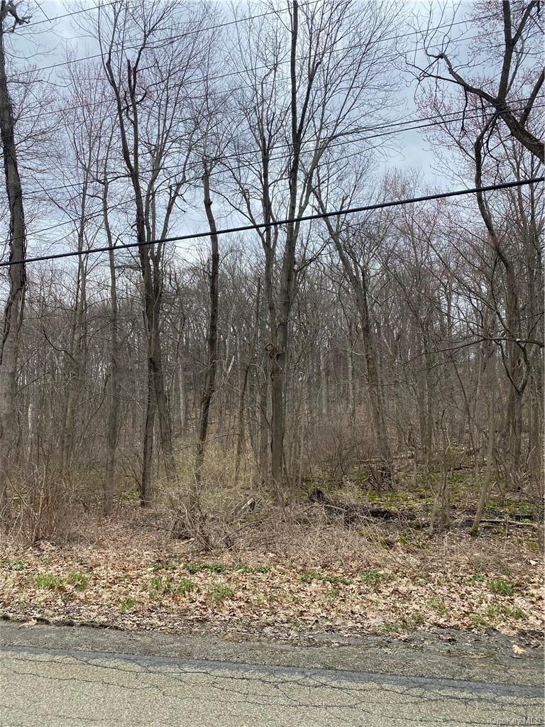 S Mill Street – For Sale