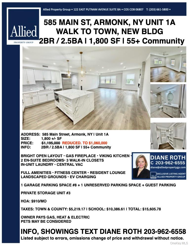 585 Main St, Unit 1A photo 2
