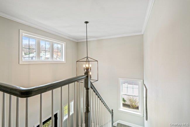 4 Knollwood Avenue – For Sale photo 19