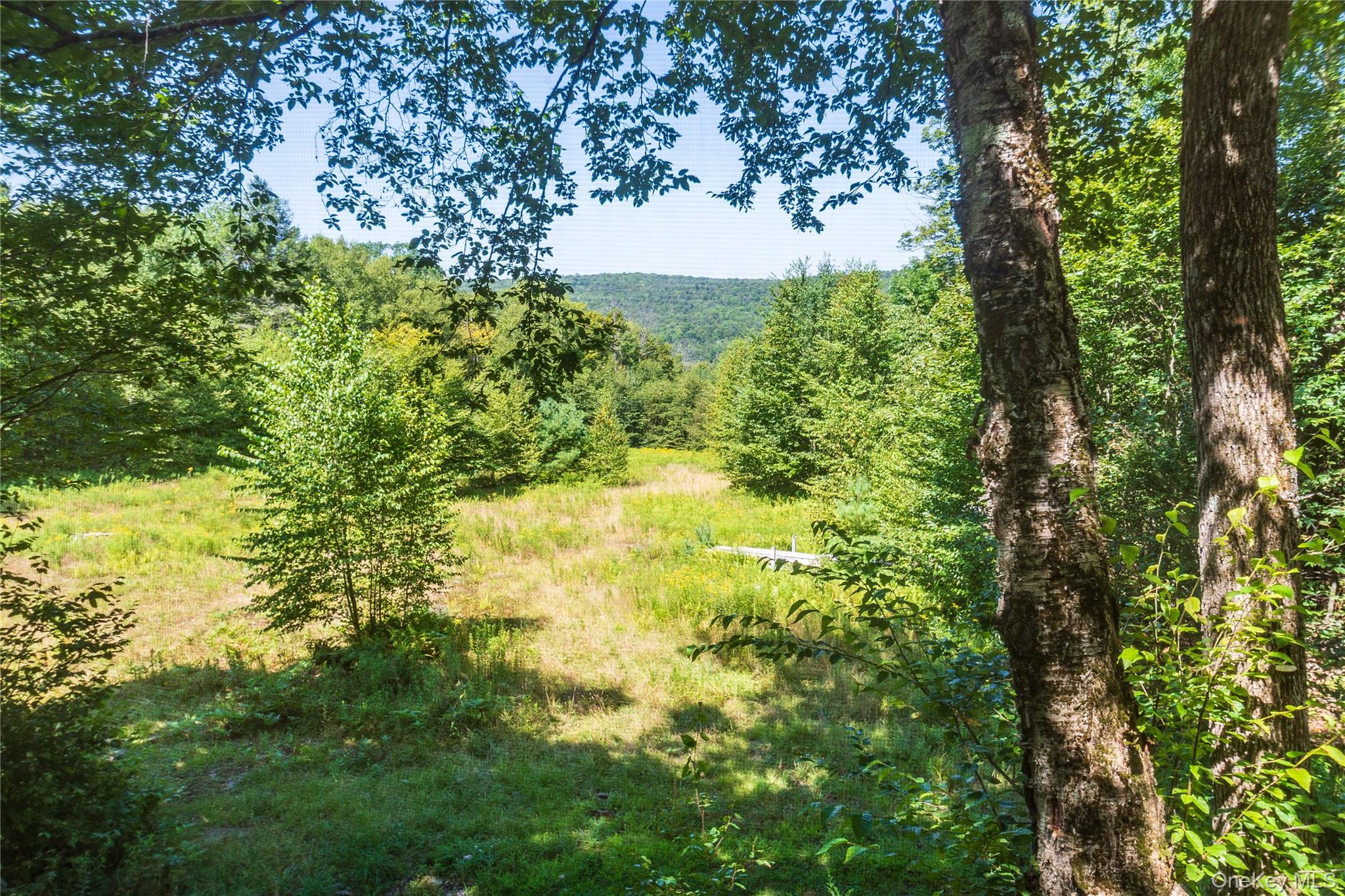 885 Grandview Road – For Sale photo 38