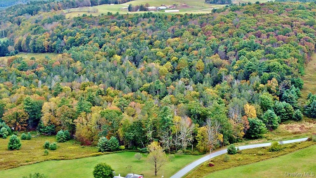 000 Kautz Road – For Sale photo 6