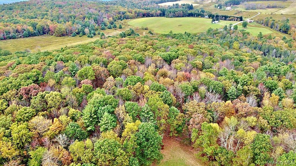 000 Kautz Road – For Sale photo 8