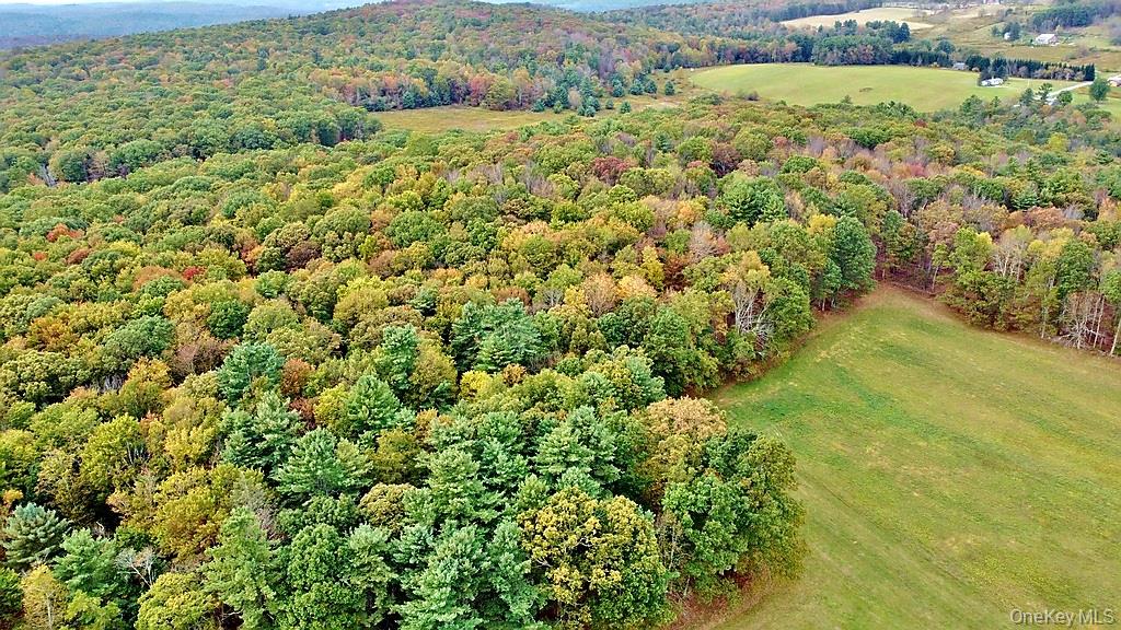 000 Kautz Road – For Sale photo 7