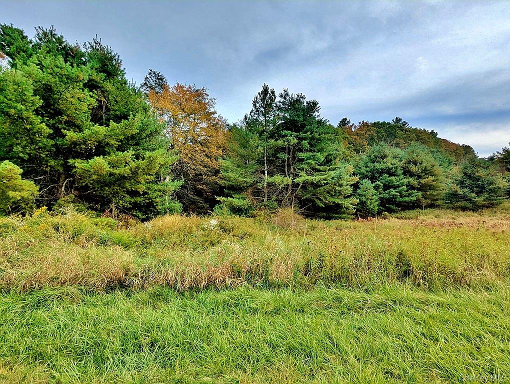 000 Kautz Road – For Sale photo 10