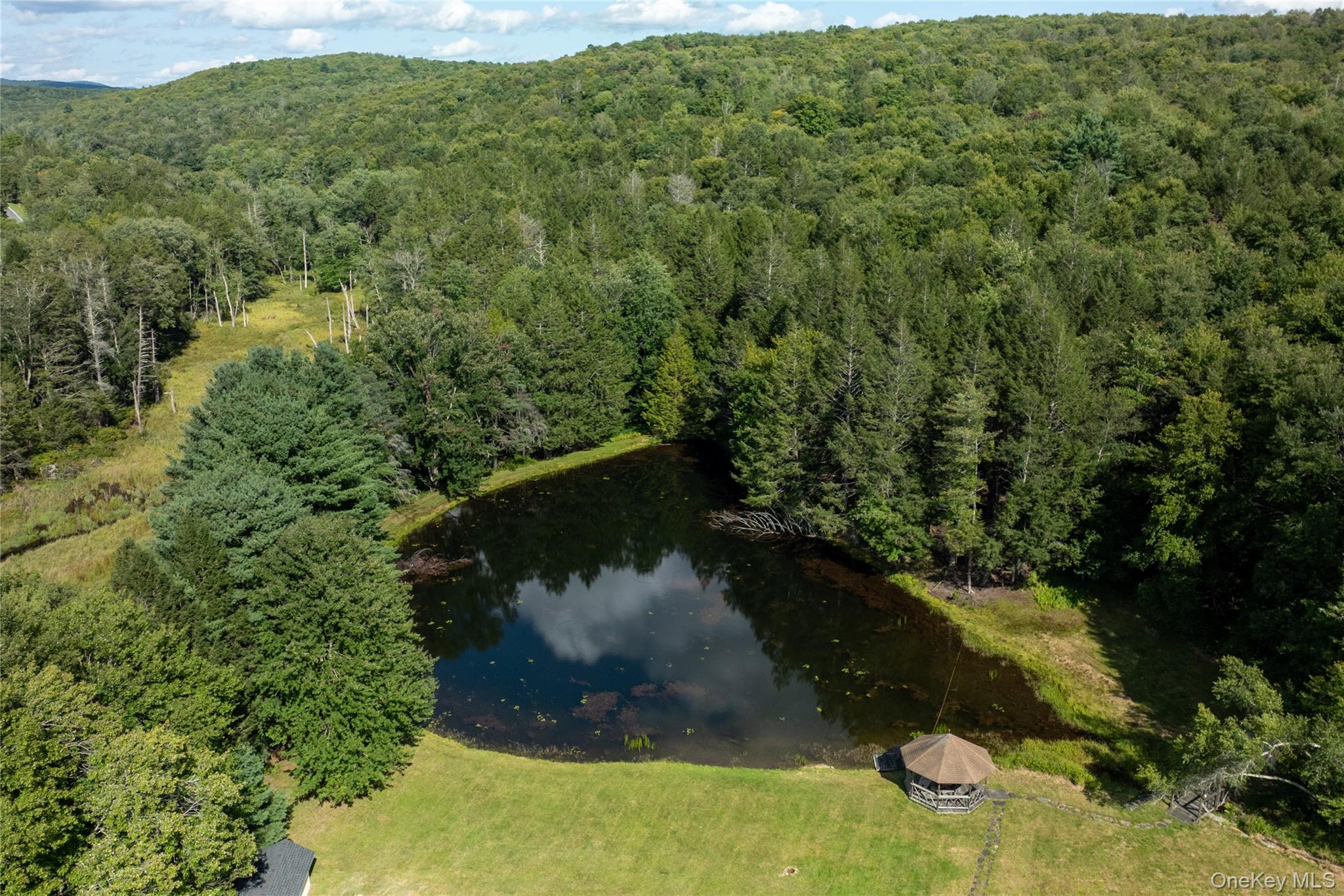 6652 State Route 42 – For Sale photo 47