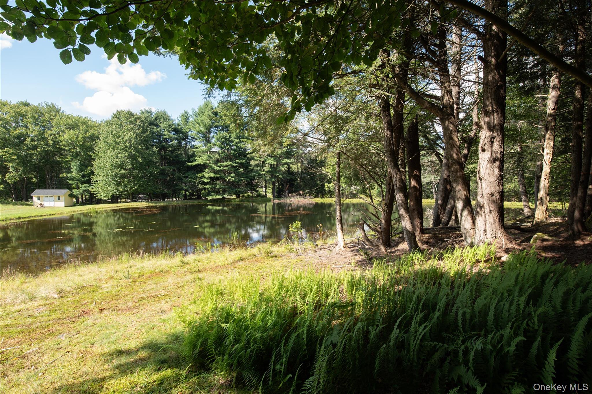 6652 State Route 42 – For Sale photo 44