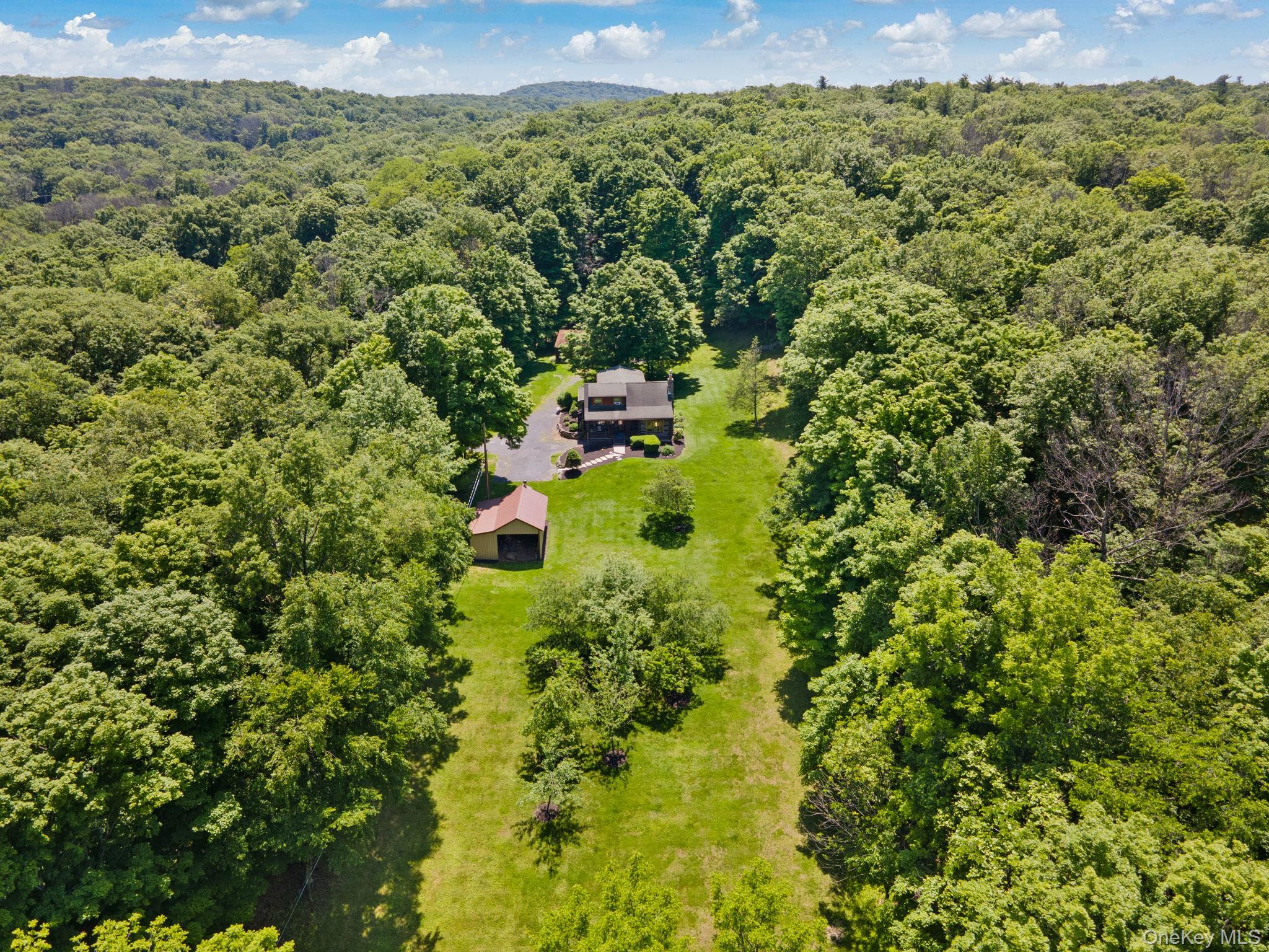 294 Comfort Trail – For Sale photo 44