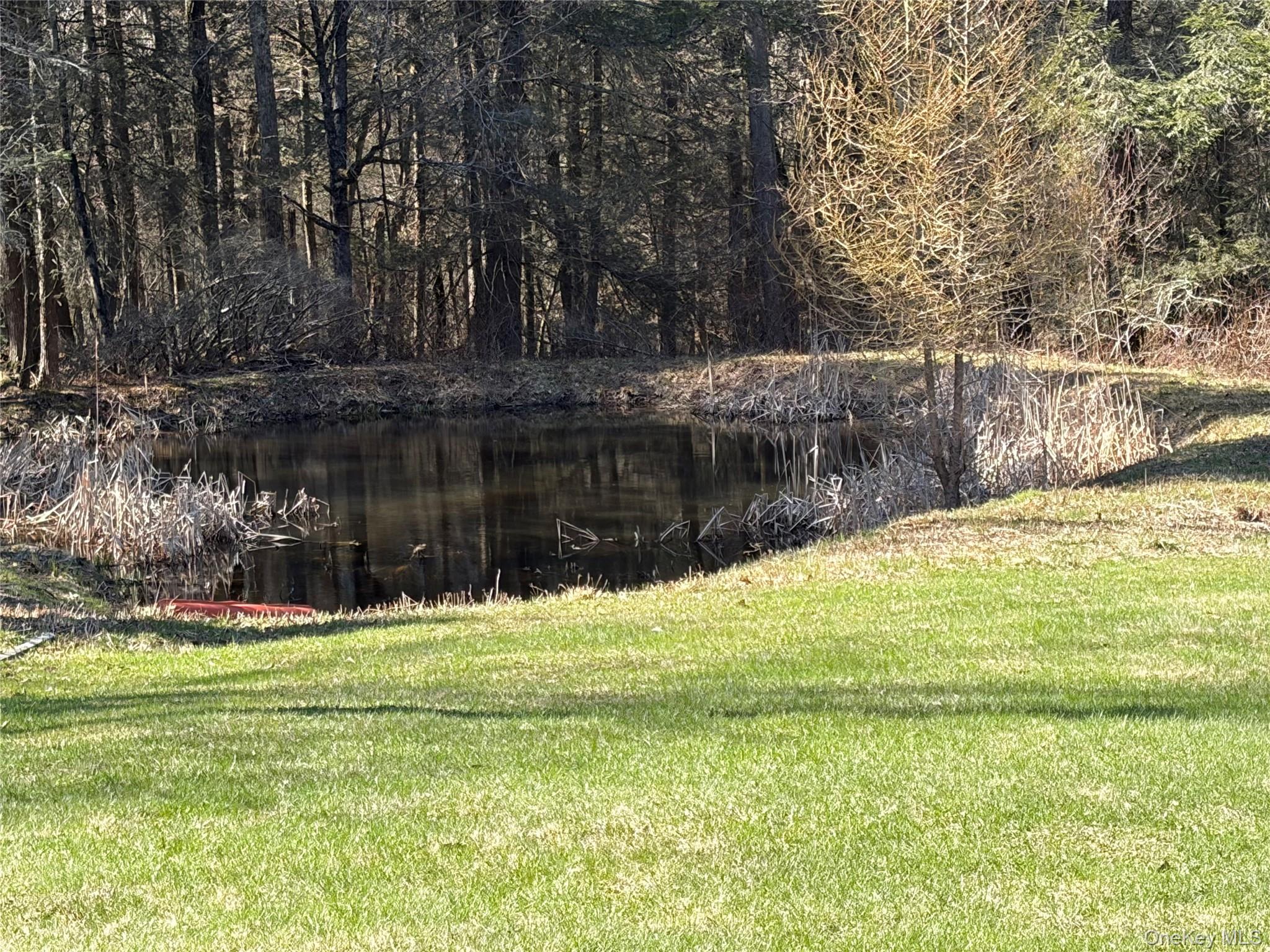 10 W Simmon – For Sale photo 14