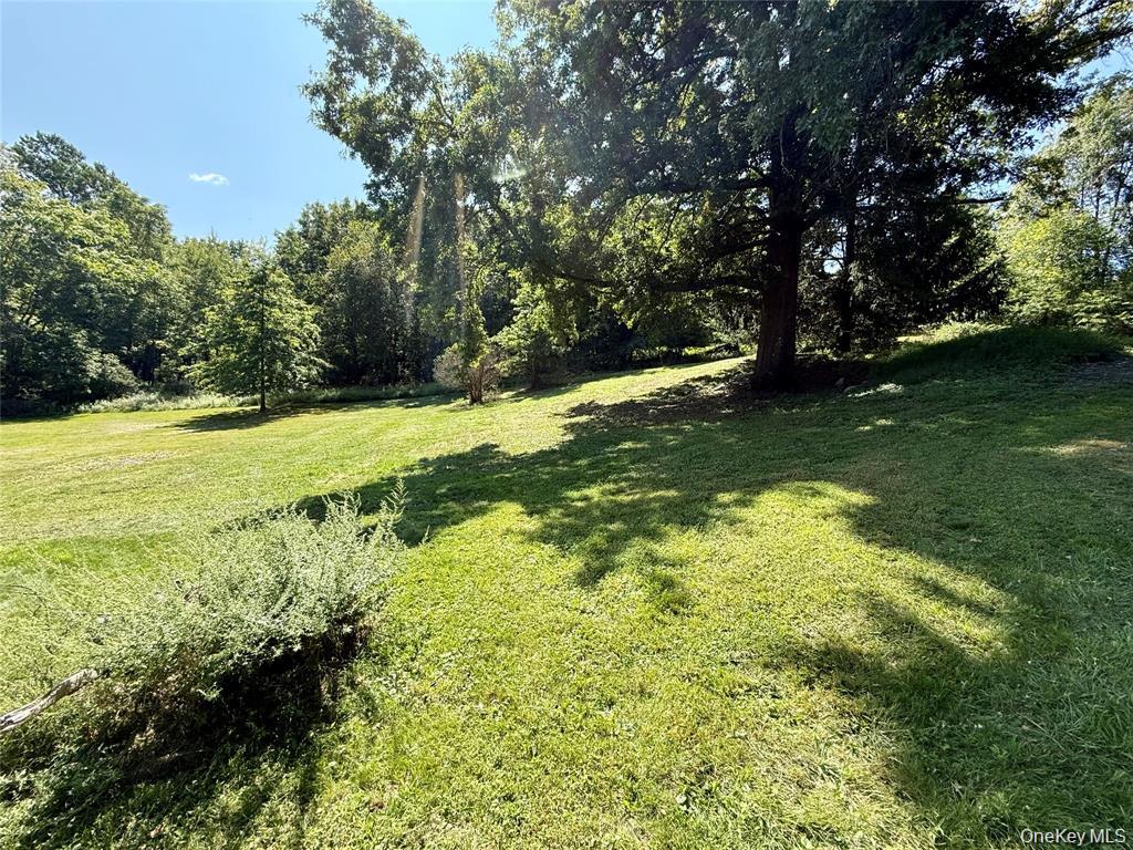 118 Old Roosa Gap Road – For Sale photo 13