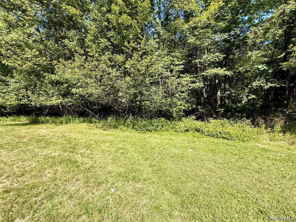 118 Old Roosa Gap Road – For Sale photo 15