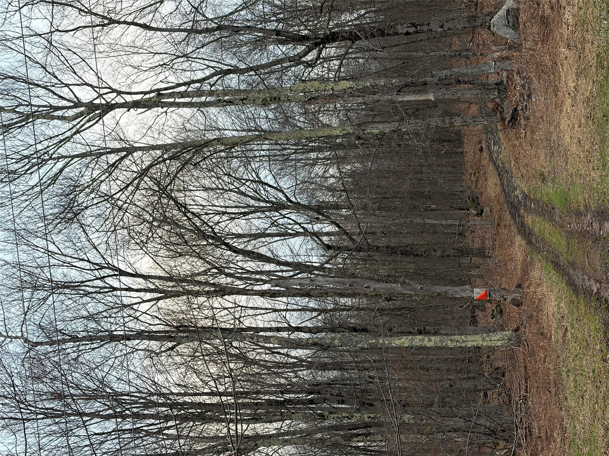 Fox Mountain Road W – For Sale photo 5