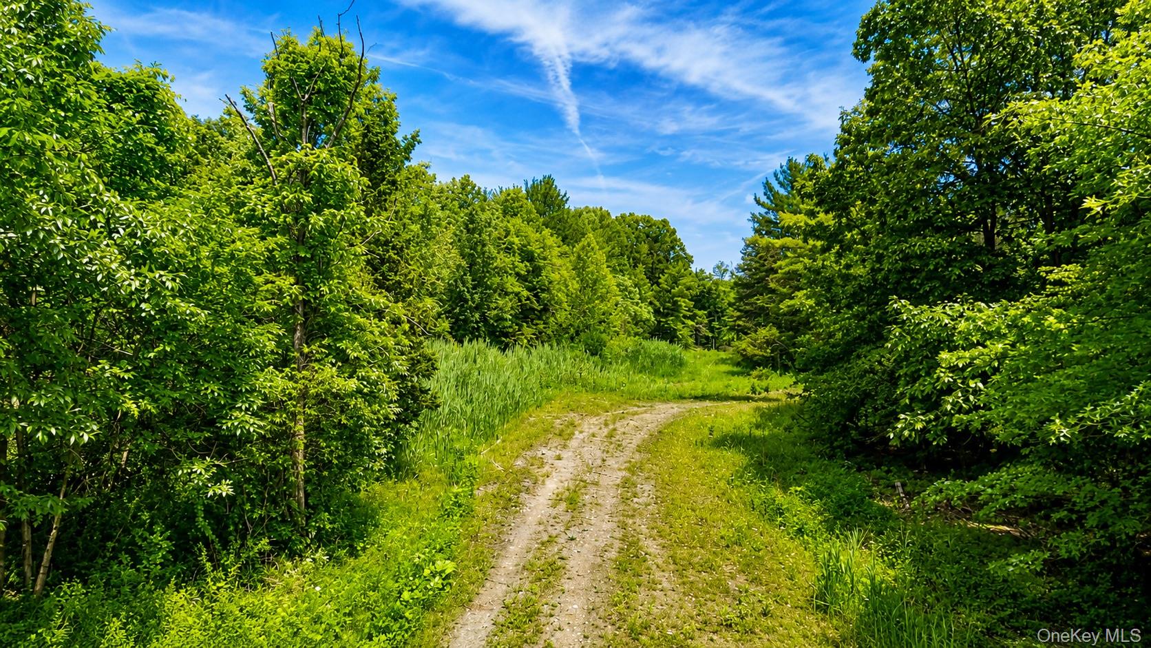 15 Deer Run West – For Sale photo 11