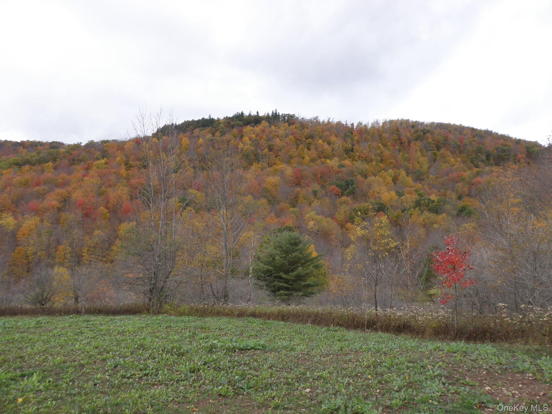 Gregory Hollow Road – For Sale photo 2