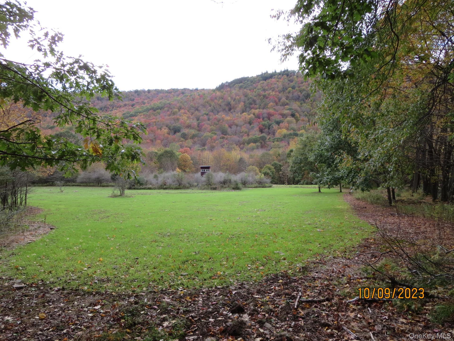 Gregory Hollow Road – For Sale photo 7